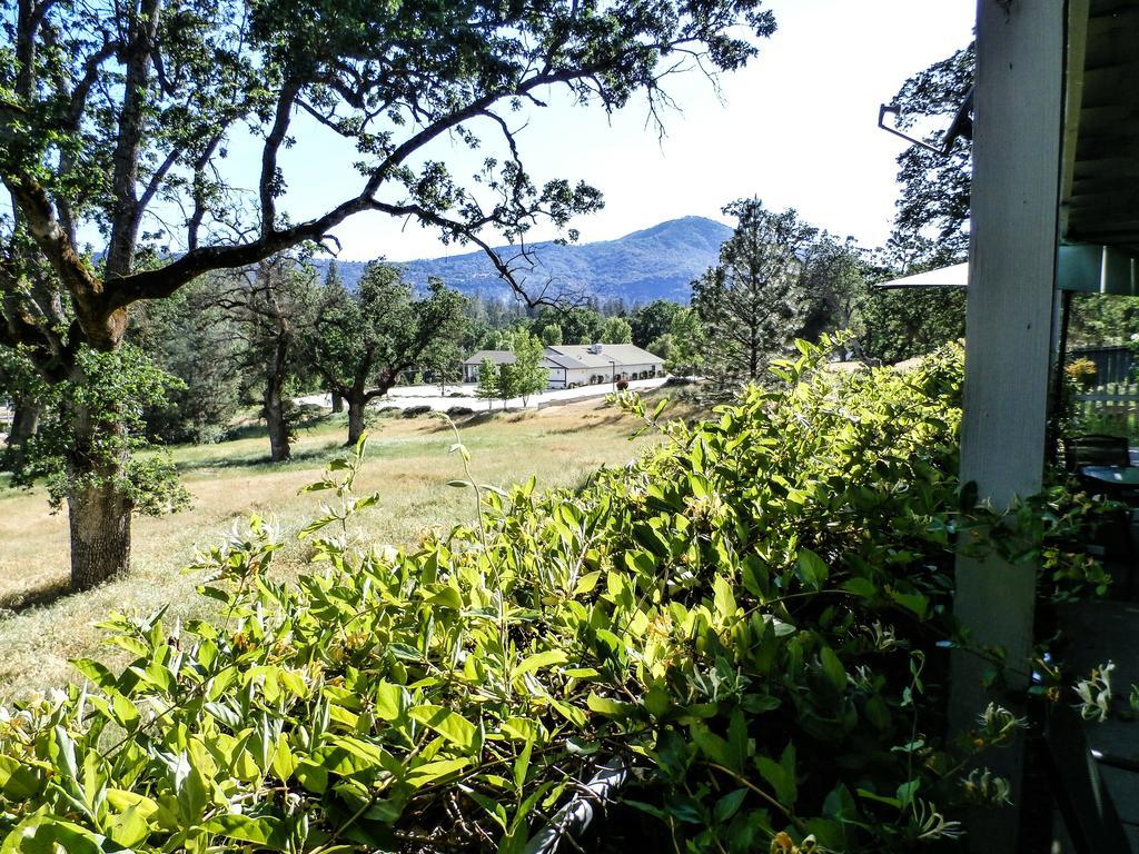 Charming Downstairs Unit Apartamento Oakhurst Exterior foto