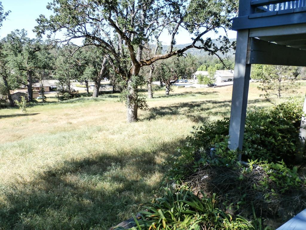 Charming Downstairs Unit Apartamento Oakhurst Exterior foto