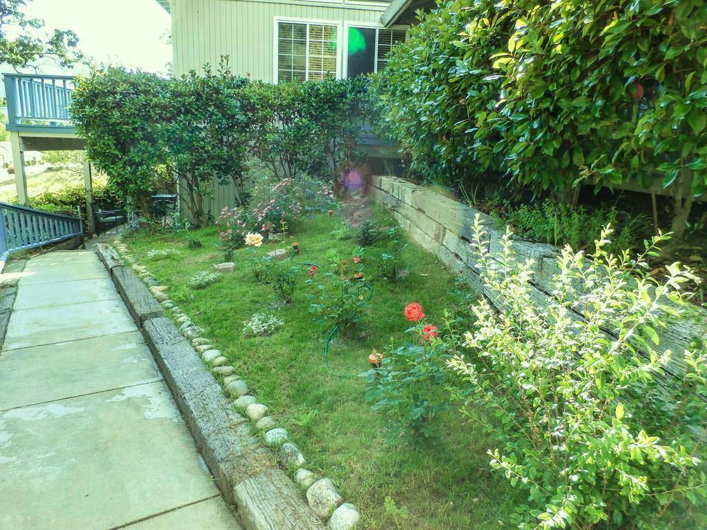 Charming Downstairs Unit Apartamento Oakhurst Exterior foto